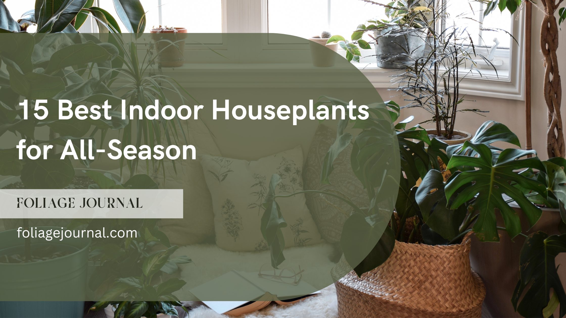 indoor houseplants