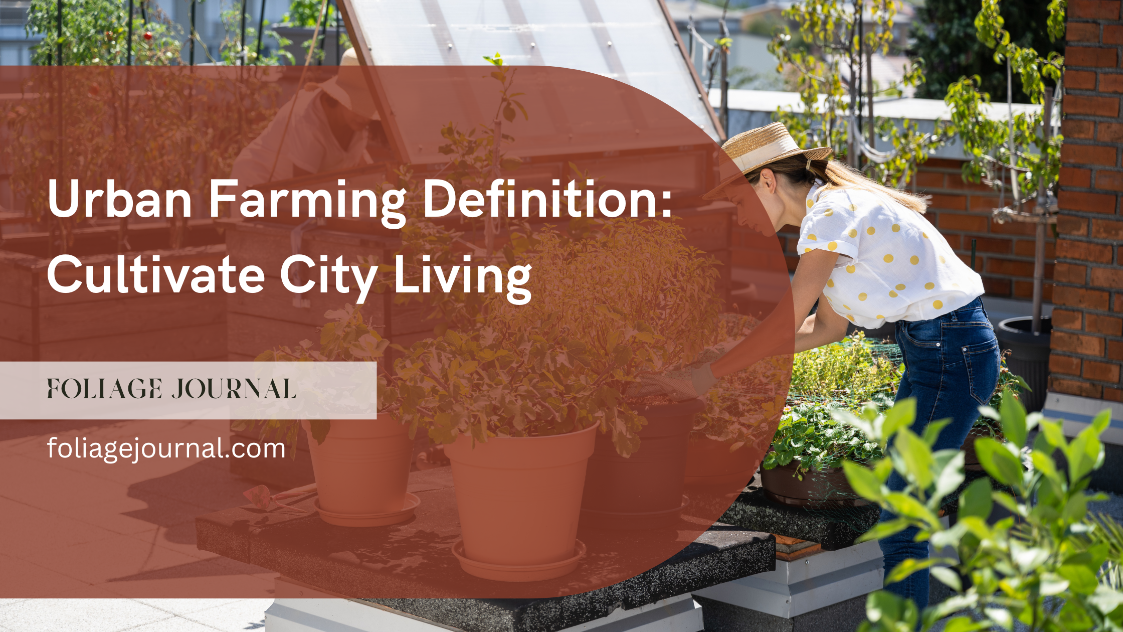 urban farming definition