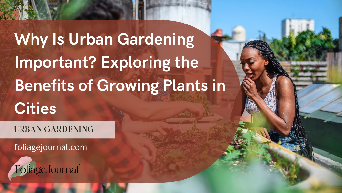 why is urban gardening important